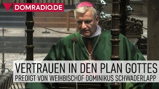 Vertrauen in den Plan Gottes – Predigt von Weihbischof Dominikus Schwaderlapp im Kölner Dom [upl. by Anders177]