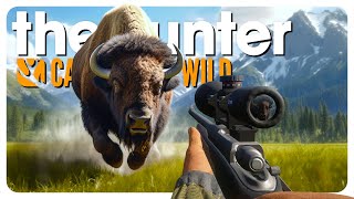 Straight up OBLITERATING small animals I need the money  theHunter Call of the Wild [upl. by Suolhcin193]