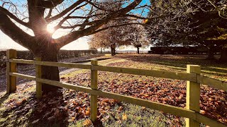 Walking at Cotswolds in Autumn beautiful and peaceful [upl. by Miun]