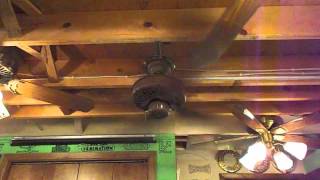 Casablanca Delta VVVeranda Ceiling Fan [upl. by Andryc]