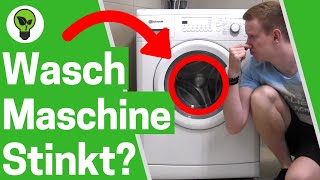 Waschmaschine Stinkt ✅ ULTIMATIVE LÖSUNG Waschmaschine Reinigen wenn Wäsche nach Waschen Stinkt [upl. by Aicel]