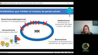 Unidad I Grupos Microbianos Parte 1 [upl. by Omolhs493]