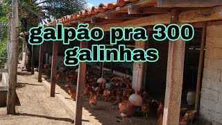 GALPÃO PRA 300 GALINHAS POEDEIRAS  tudo que você precisa saber medidas e muito mais canal da pathy [upl. by Dionisio13]