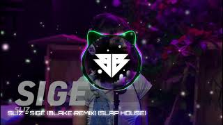 FREE DOWNLOAD  SLIZ  SIGE BLAKE REMIX SLAP HOUSE [upl. by Ennahtebazile]