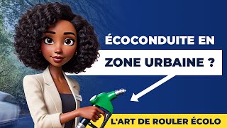 Réussir la Partie Environnement du Permis Théorique  Le Quiz Ultime [upl. by Hyo]