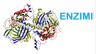 ENZIMI sito attivo substrato inibizione competitiva e allosterica [upl. by Anirret]