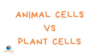 Animal Cells vs Plant Cells KS3 animal and plant cells [upl. by Anawd]