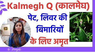 kalmegh ke fayde  kalmegh q homeopathic medicine benefits  kalmegh q ke fayde in hindi [upl. by Corrie]