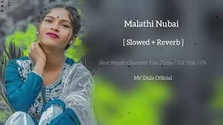 Malathi Nubai  slowed  reverb Full Song [upl. by Eedyak]