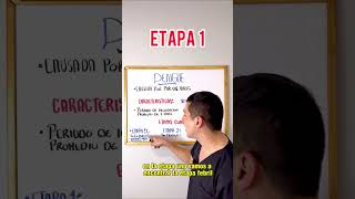 Estas son las ETAPAS DEL DENGUE 🦟  GESCONS [upl. by Elberfeld]