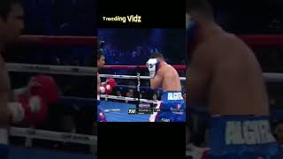 Algieri Vs Pacquiao quotMost Tumbling Downquot Highlights trendingmanny pacquiáo boxer [upl. by Vada]