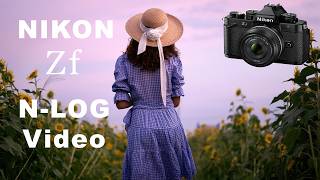 Nikon ZF NLOG Cinematic Video  Memories of Summer in Japan Sunflower Field [upl. by Sitoiyanap745]