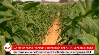 Ing Enrique Justiniano – Asesor técnico Agro Nueva Holanda [upl. by Doersten]