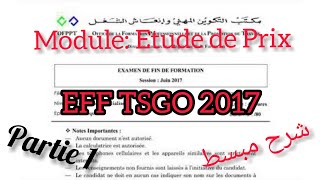 EXAMEN FIN DE FORMATION TSGO 2017 Partie 1 [upl. by Kadner]