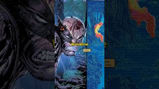 PREDATOR VS WOLVERINE shorts wolverine deadpool marvel [upl. by Aiet509]