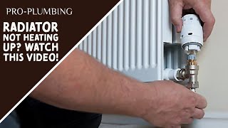 Fix Your Radiator In Minutes Without Paying A Plumber [upl. by Dusa]