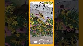 Augmented Reality Art Experience Ouizis Flower Drifts AR Mural [upl. by Anika958]