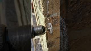 How to remove silicone  mastic from brickwork [upl. by Yrogreg]