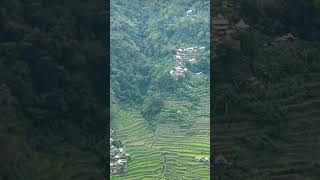 BANAUE RICE TERRACES PHILIPPINES stories shortvideo shortsviral short views [upl. by Laumas]