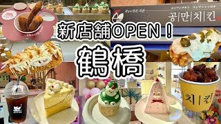 《鶴橋》コリアタウンNew Open✔️韓国カフェ早めのクリスマス気分堪能してきました🎅🏼🎄 [upl. by Elocyn]