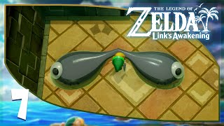 The Legend of Zelda Links Awakening Walkthrough 110  Part 7 4K60FPS [upl. by Becht]