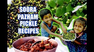 சூரப் பழம் ஊறுகாய் I Soora Pazham I Pluck I Pickle I Recipes I The Made in Madras [upl. by Jeanette99]