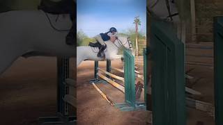 This is Cazoo Oo horse equestrain shorts trending 2024 [upl. by Schmitz]