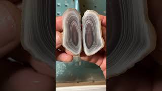 Let’s slice Agate What kind of stone is this 💎🔥 lapidary agate rockhounding [upl. by Rashida]