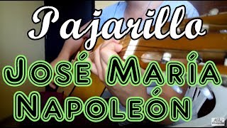 Como tocar Pajarillo  José María Napoleón en Guitarra [upl. by Ecinreb]