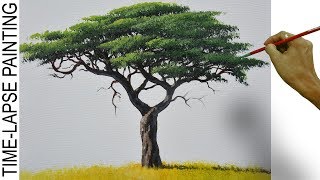 How to Paint Realistic Acacia Tree  Acrylic Painting Tutorial in Time lapse [upl. by Mccutcheon]