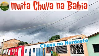 BOAS CHUVAS na BAHIA e em outros municípios do Nordeste Ep108 [upl. by Rebecka]