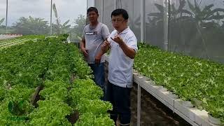 Bamban Tarlac Greenhouse with Foreman [upl. by Narrad]