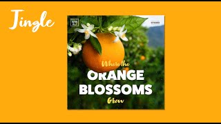 Where The Orange Blossoms Grow The Florida Song [upl. by Church733]