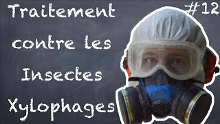 Traitement contre les Insectes Xylophages  NLAB 12 [upl. by Esereht]