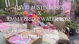 DAVID AUSTIN ROSES X EMMA BRIDGEWATER ROSE  BOX SET  MUGS  ROSE REVIEW  BRIDGERTON STYLE [upl. by Gnouh]