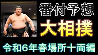 大相撲令和６年春場所 番付予想 若隆景は⁉️伯桜鵬は⁉️【十両編】 [upl. by Iila570]