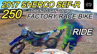 Lorenzo Santolino 2017 Factory Sherco SEFR 250 [upl. by Reteip]