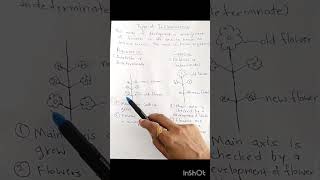 Types of InflorescenceRacemose and CymoseBSc2 semester trending youtube [upl. by Haeckel]