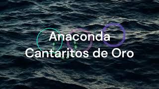 Anaconda  Cantaritos De Oro Lyrics [upl. by Apul]