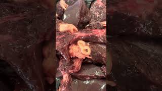 Fasciola hepática en canalículos biliares 🐮 medicinaveterinaria veterinaria [upl. by Rosol]