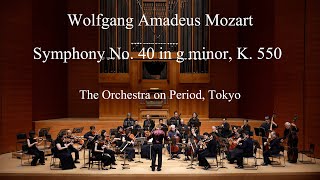 Mozart Symphony No 40 in g minor K 550 [upl. by Sher]