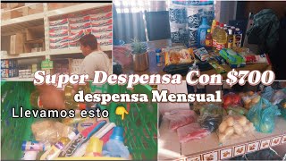 DESPENSA MENSUAL CON POCO  🤑 Compramos todo ESTO [upl. by Ylam]