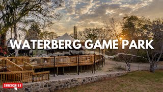 Discover Waterberg Game Park Where Nature Meets Adventure [upl. by Columbus]