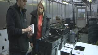 Platinium Hydroponics Présentation technique [upl. by Estes302]