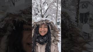 Winter wonderland। Snow in Germany। Schneezeit deutschland Youtube youtubeshortsvideo [upl. by Auhsej]