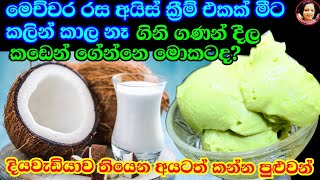 පොල්කිරි මේ තරම් රසයිද කඩේ අයිස්ක්‍රීම් මොකටද මෙහෙම සුපිරියට හදාගන්න Vegan Ice Cream Coconut milk [upl. by Leigh103]