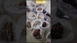 How to prepare herbal hair oil at homehomemade herbal hair oil ingredients herbalcare herbaltips [upl. by Gault533]