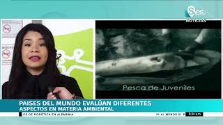 CITES COP 19 en Panamá ganaron los tiburones [upl. by Garbe]