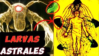 3 CLAVES para ELIMINAR las LARVAS ASTRALES 🦠 [upl. by Amitie]