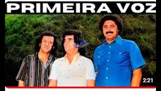 HOMEM DE PEDRA TRIO PARADA DURA  PRIMEIRA VOZ 1978OUÇA A VOZ DO BARRERITO ISSO É UM PRESENTE [upl. by Dnanidref]